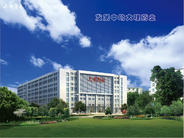 大理药业:收入净利大幅下滑 营运资金需求存疑